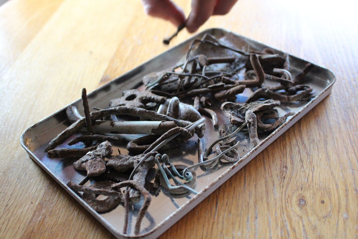 magneet, scherp, scherp-in voorkomen, magneten, vijzelmagneten, magneet op opvoerband voermengwagen, hoe voorkom ik scherp, hoe voorkom ik scherp-in, magneet in mengwagen, scherpe voorwerpen in het voer, metaal in koeienvoer, ijzeren delen in rantsoen, metaal, ijzer, voer, rantsoen, koeien, herkauwen, pens, netmaag, scherp-in, maagperforatie, scherpoperatie, kooimagneet, magneet, buikvliesontsteking, voerborstel, koe, melkveebedrijf, spijkers in voer, maag ontsteking bij koe, 
