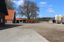 boerderij-erf-hoeve