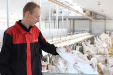 Triomatic T30, automatisch voersyteem