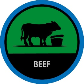 voermanagement, voerkosten beheersen, software, voerefficiëntie 